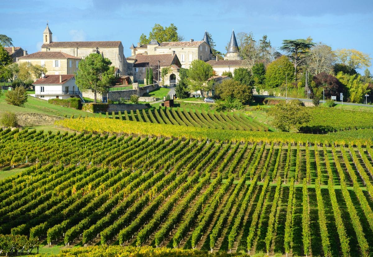 Kinh nghiệm du lịch Pháp từ A-Z: Thời điểm, chi phí và những lưu ý 11 bordeaux