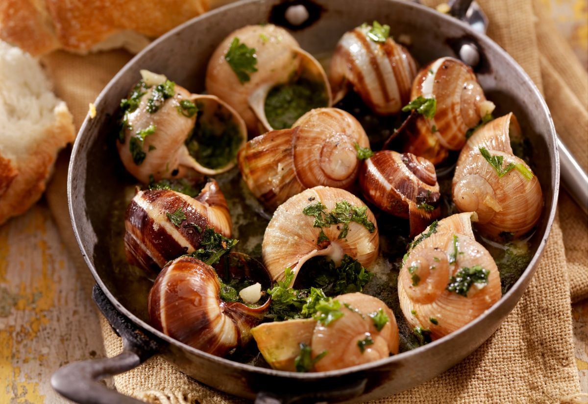 Kinh nghiệm du lịch Pháp từ A-Z: Thời điểm, chi phí và những lưu ý 15 Escargot