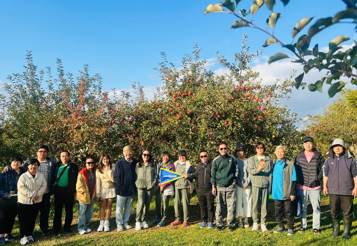 Du lịch Nhật Bản tự túc hay theo tour? So sánh chi tiết từ A-Z 3 Du lịch Nhật Bản theo tour với trải nghiệm hấp dẫn, lịch trình chuyên nghiệp