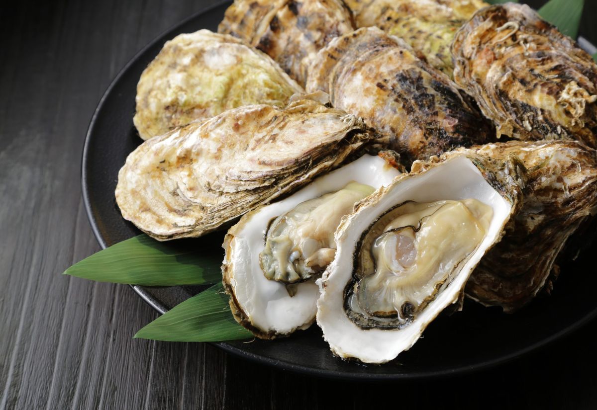 Okayama Nhật Bản - Cẩm nang du lịch và điểm đến nổi bật 13 Hàu Okayama có thịt trắng ngần, mềm ngọt tự nhiên
